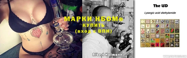 гашик Алзамай