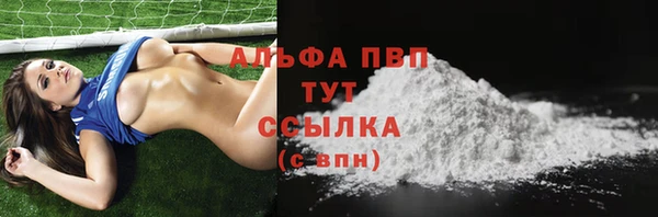 мет Алексин