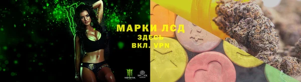 гашик Абаза