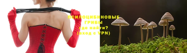 мет Алексин