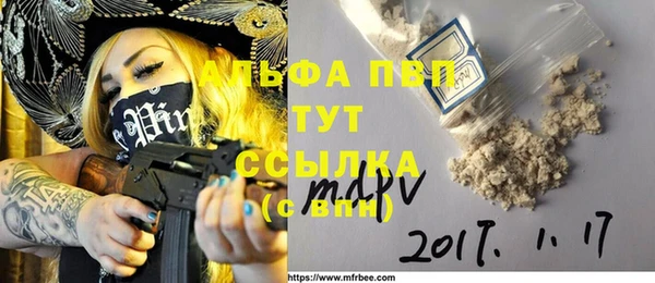 гашик Абаза