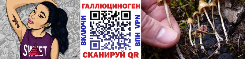 Псилоцибиновые грибы мухоморы  mega ONION  Остров  закладка 